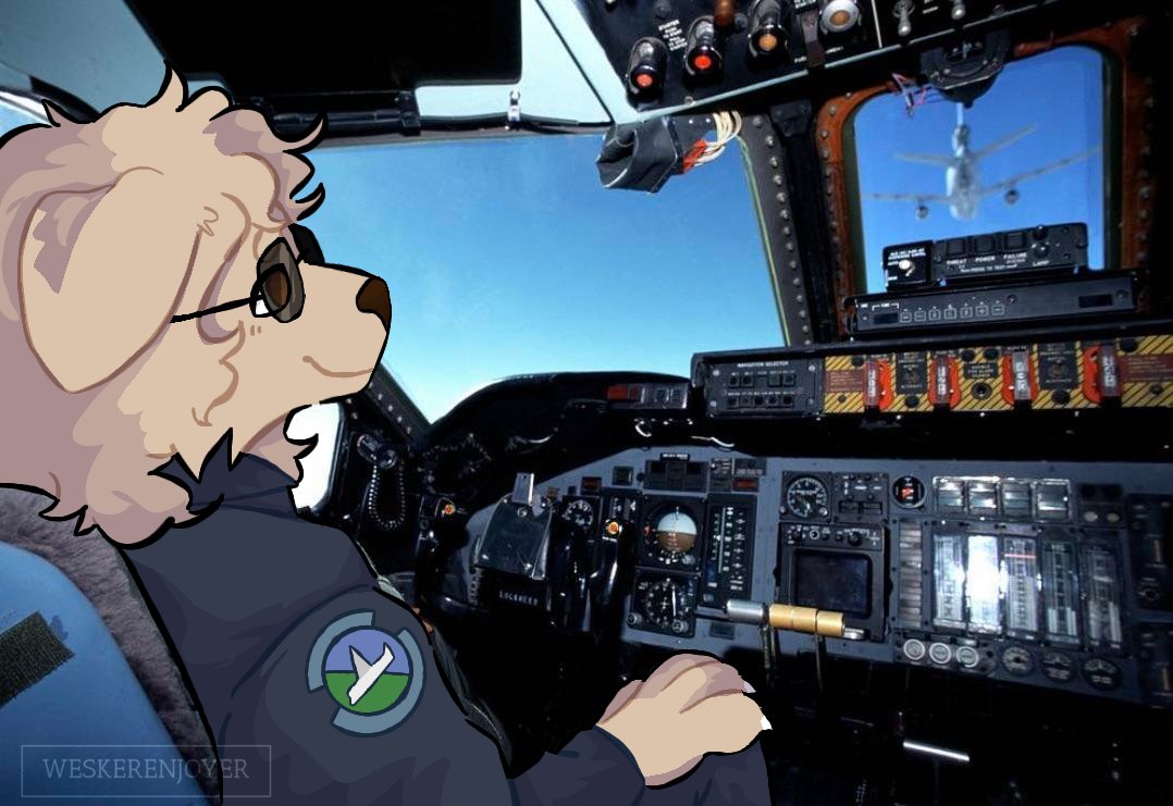 ✈️Delta✈️ tweet media