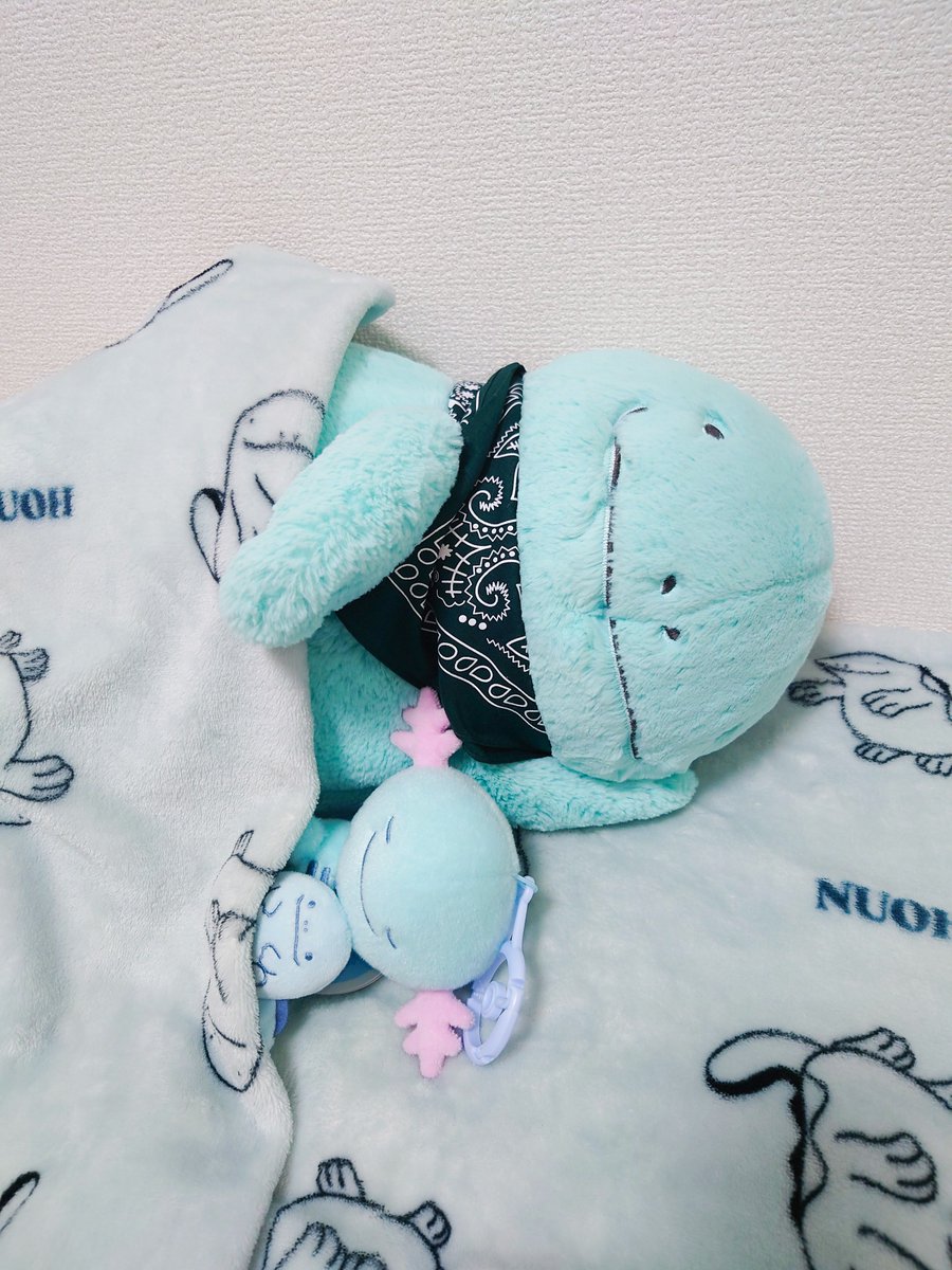 ⛵️まろた tweet media