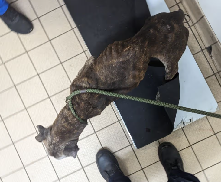 Jennifer Thetford-Kay tweet media