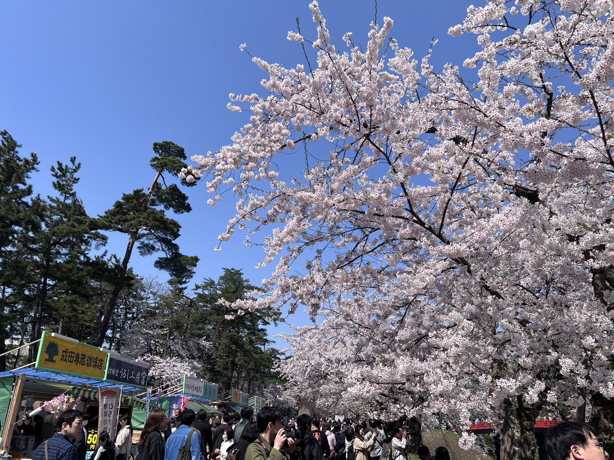 あまり✩゛ tweet media