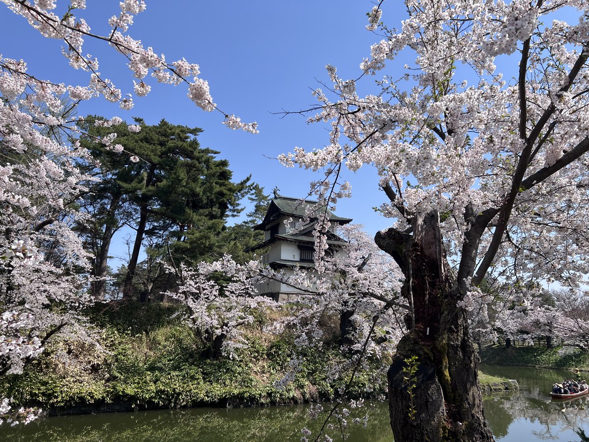 あまり✩゛ tweet media