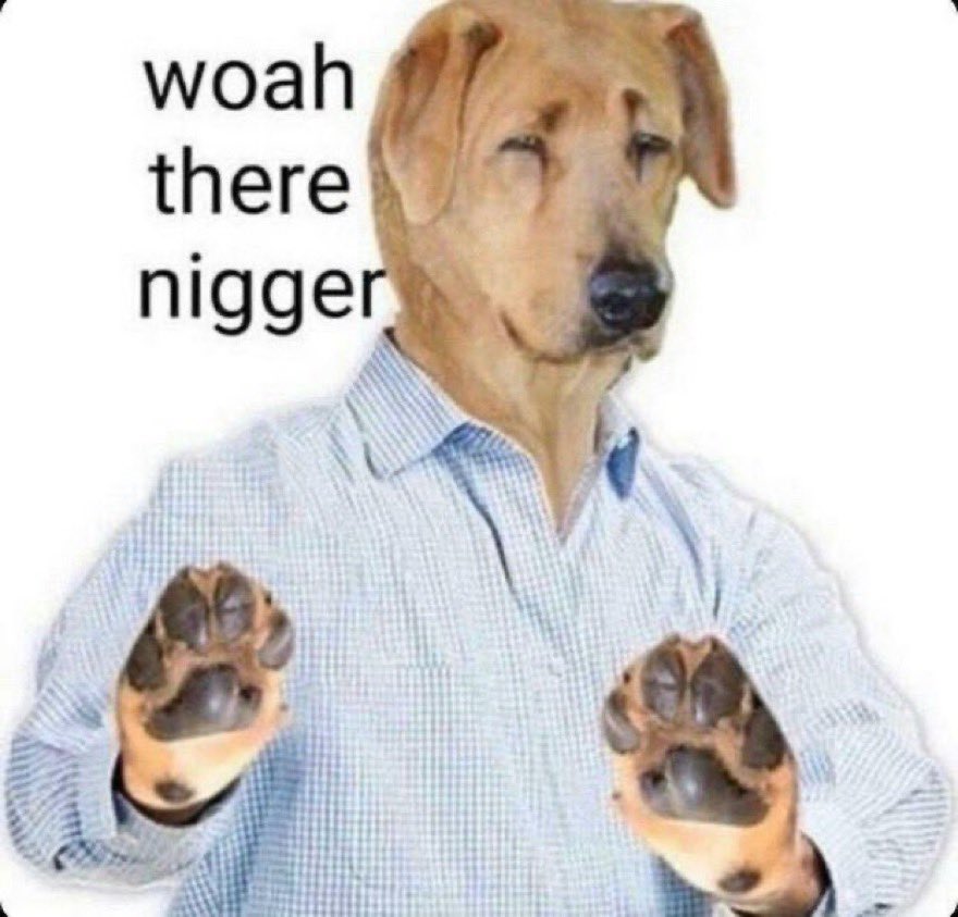 prada g 🐬 tweet media