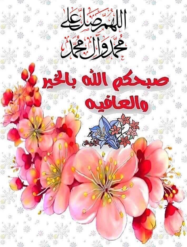 🦋🕊️❤️🇰🇼كويتاويه 🇰🇼 tweet media