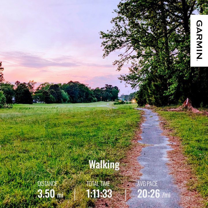 geoffcbrown's tweet image. Rest Day Walk. 🌄 #MOVE