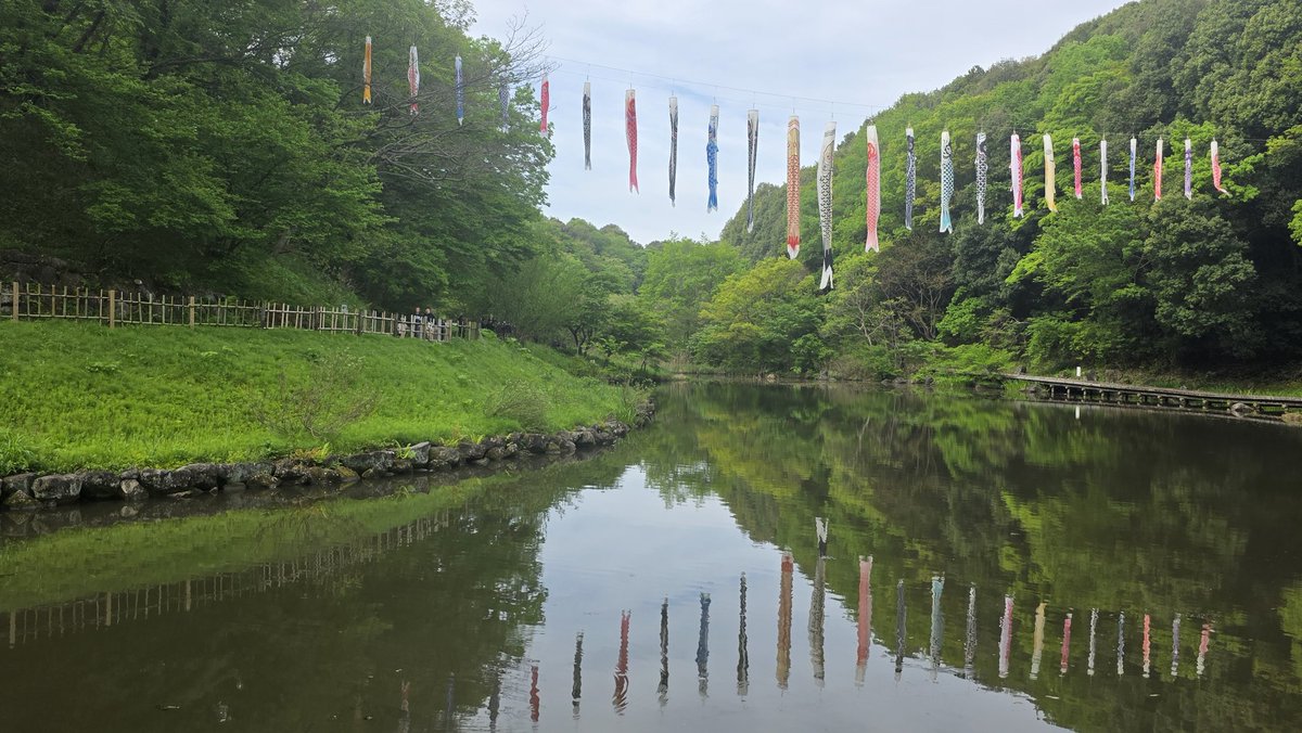 tame@╰( ๑•̀ ₃ •́ )╮=͟͟͞͞ ◑ tweet media