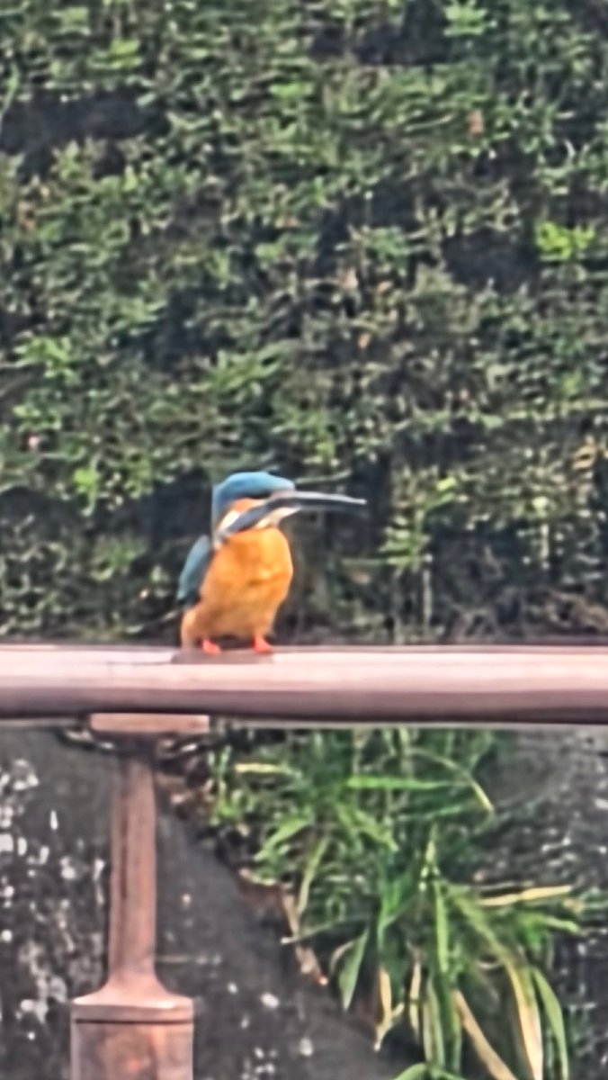 tame@╰( ๑•̀ ₃ •́ )╮=͟͟͞͞ ◑ tweet media