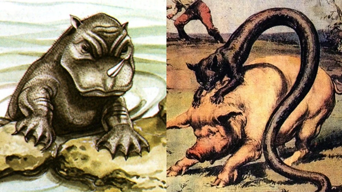 Legendary Cryptids tweet media