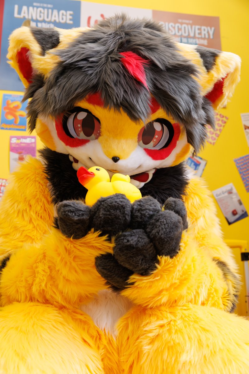 옐피 Yellppy 🐠 tweet media