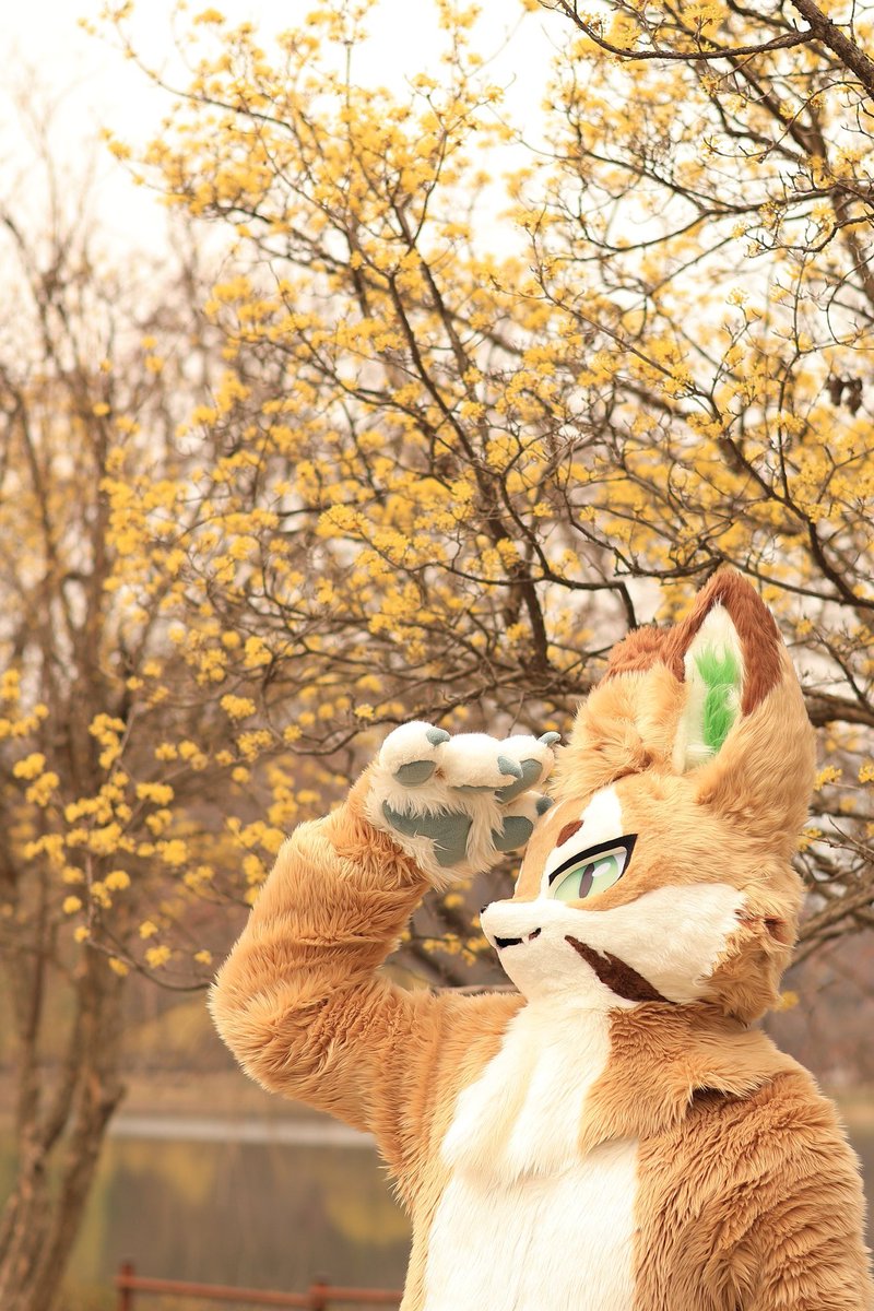 개르 | 오트(Oat) 🔜 PlayX4 tweet media