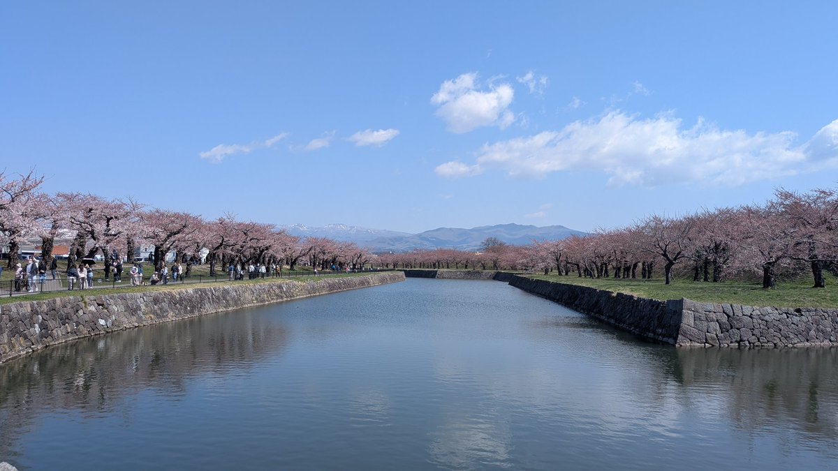 syd__barrett1's tweet photo. おはようございます https://t.co/3BW7bUsqme