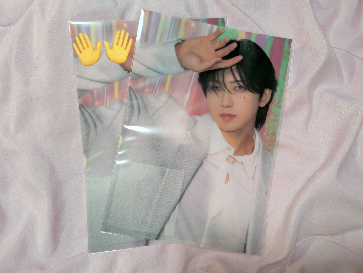 🐣aya🐷 tweet media