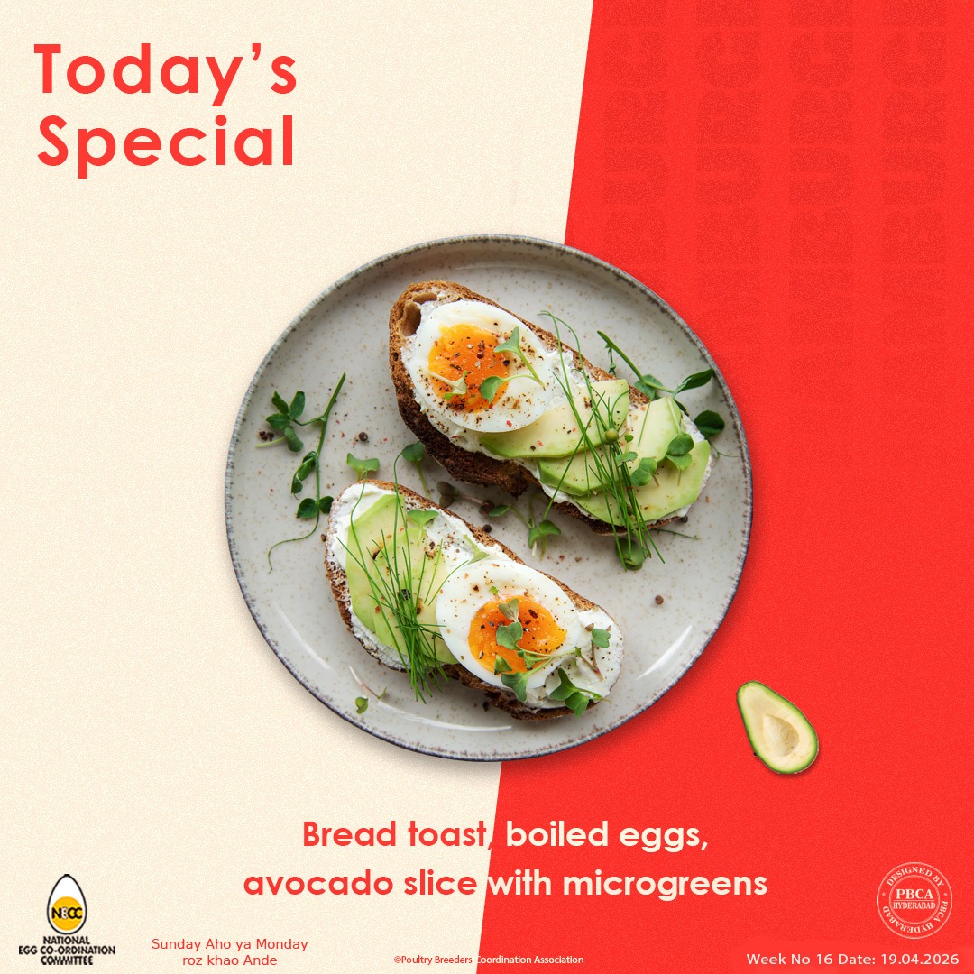 vencobb chicken (@vencobbchicken) on Twitter photo 