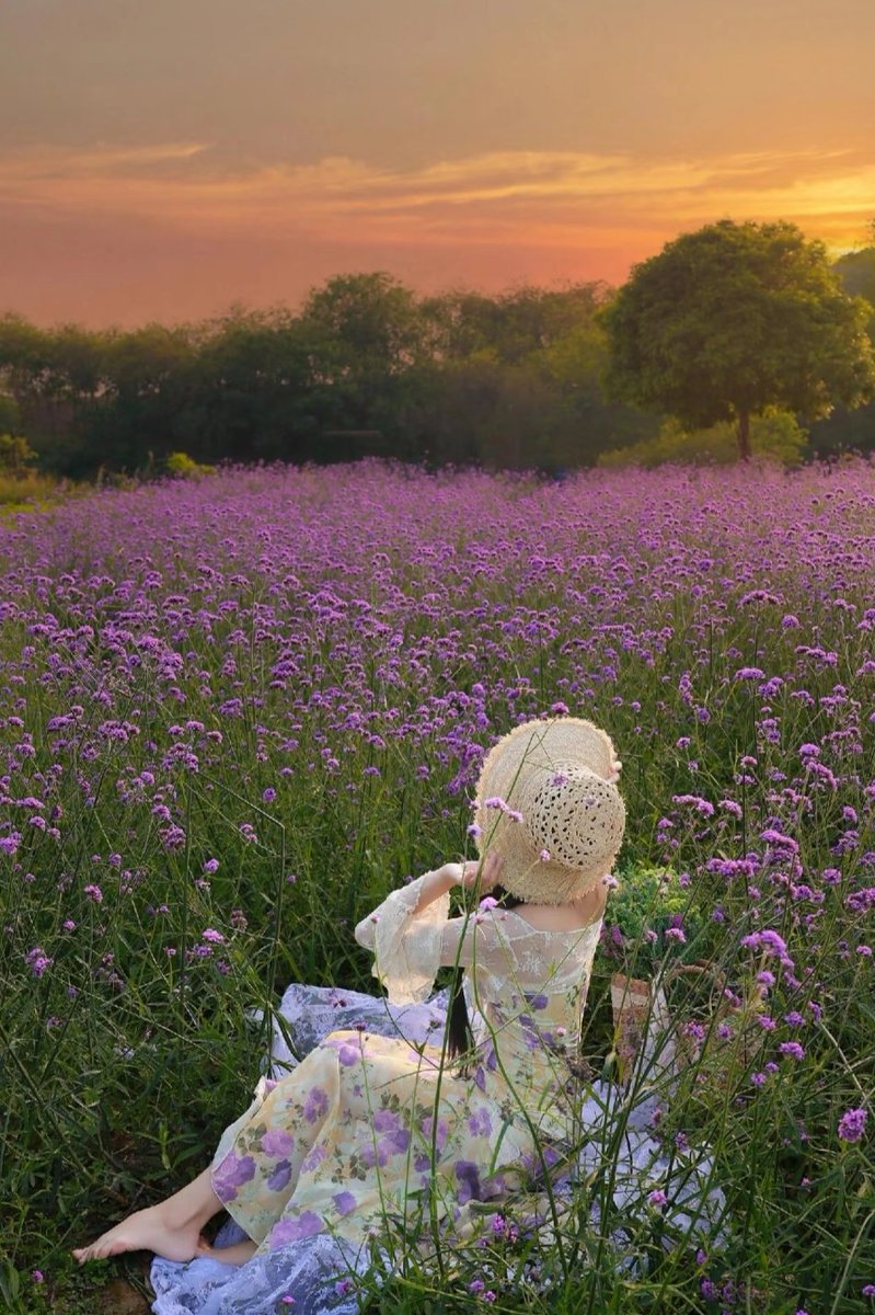 xianfeng tweet media