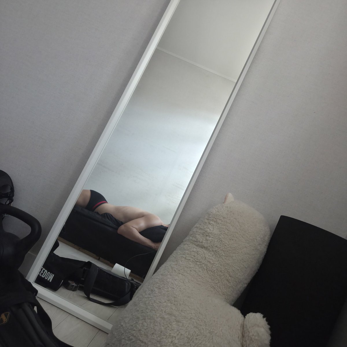 카페인/도마🏳️‍⚧️🏳️‍🌈 tweet media