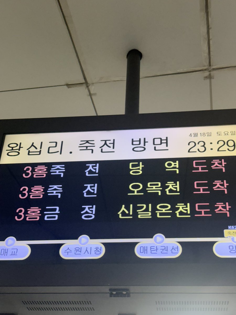 하레루 tweet media