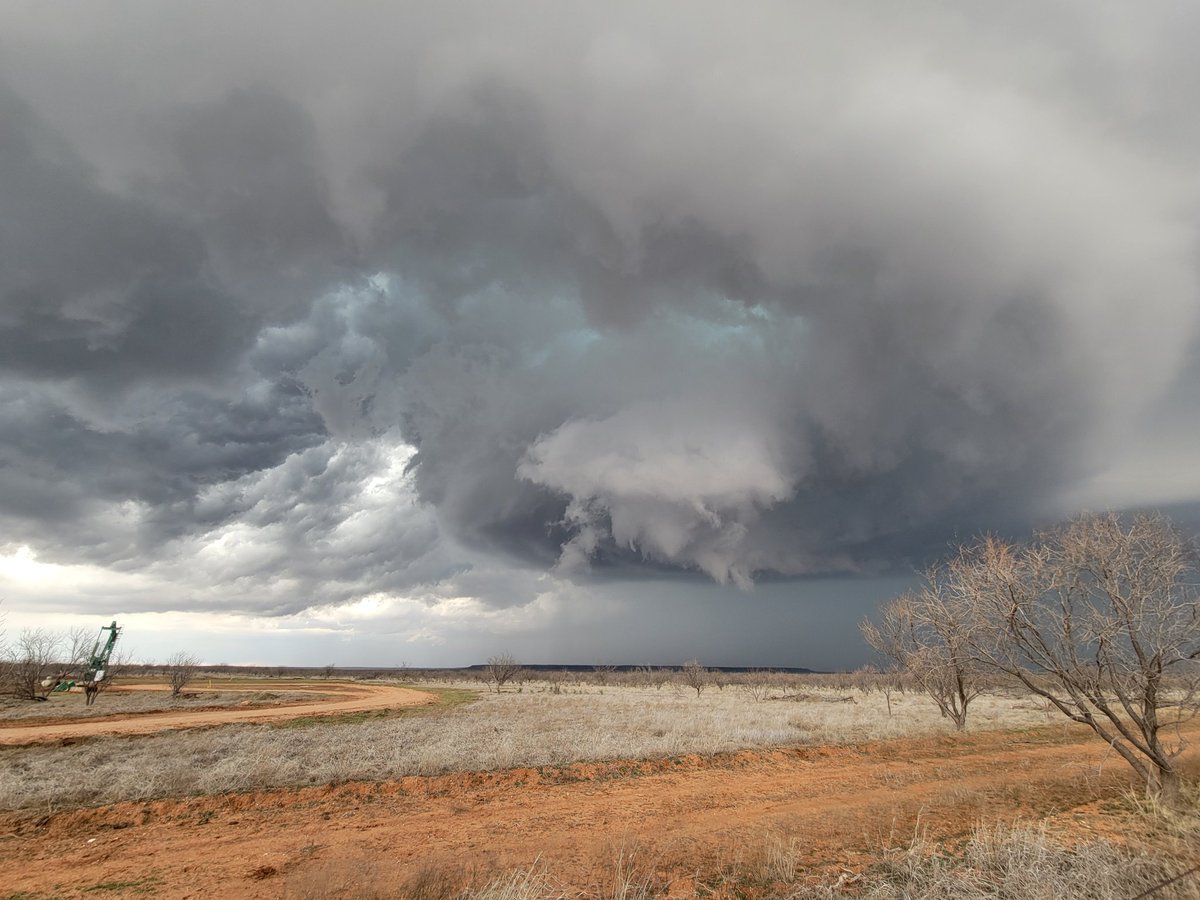 Ethan DiMartino tweet media