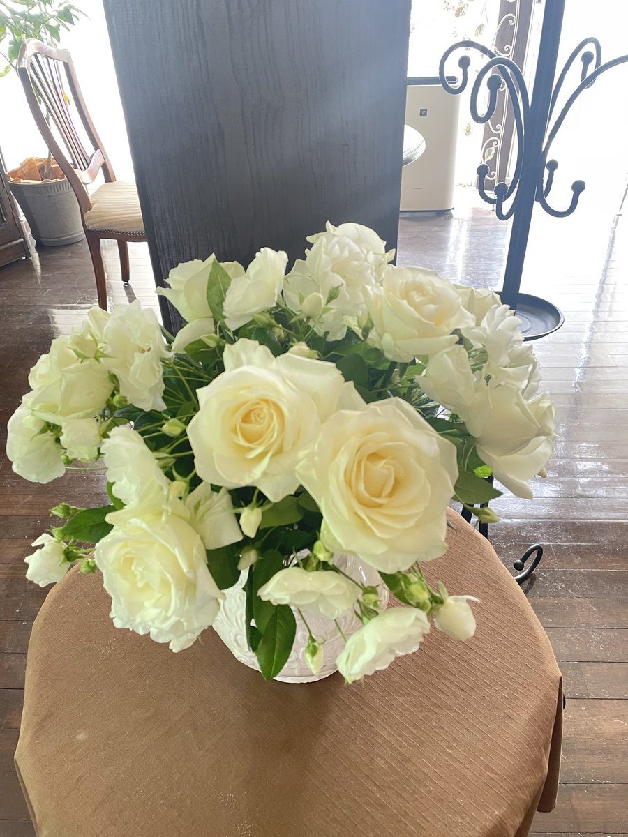 caferuhe's tweet image. おはようございます😊
4月19日日曜日、本日の薔薇🌹
営業時間は12時から18時まででございます🫖
ご来店お待ちしております☕️
Instagram    cafe.ruhe
#cafe    #カフェルーエ　#紅茶　#薔薇