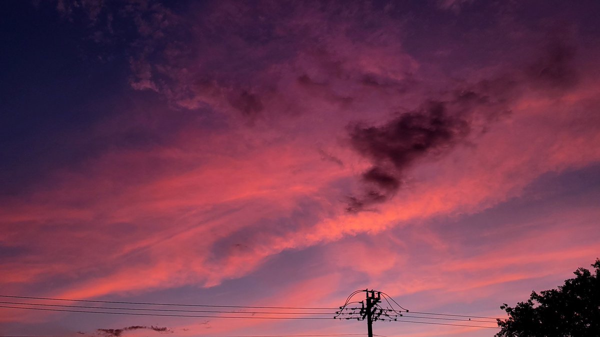 michael_wx_ tweet media