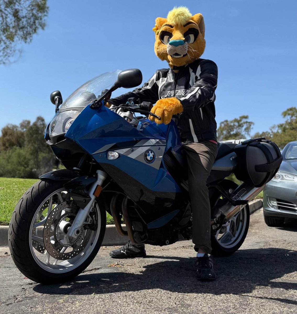 TheEternalFloof's tweet photo. And motofurs in SoCal?

Let’s go for a ride! 🤙🏻 https://t.co/qS72CKkuqi