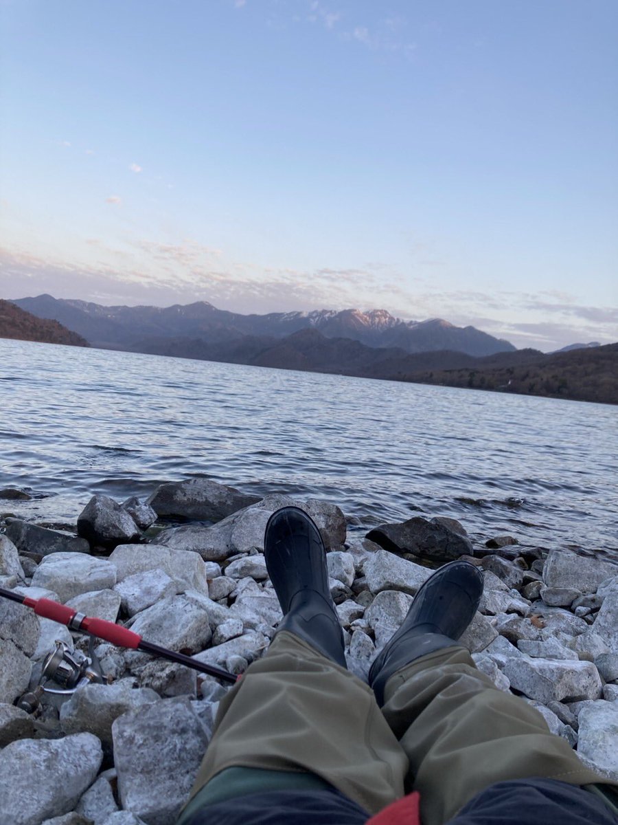 🐟🐟赤魂🎺⚽️ tweet media