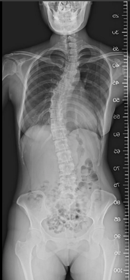 Thien Huynh tweet media