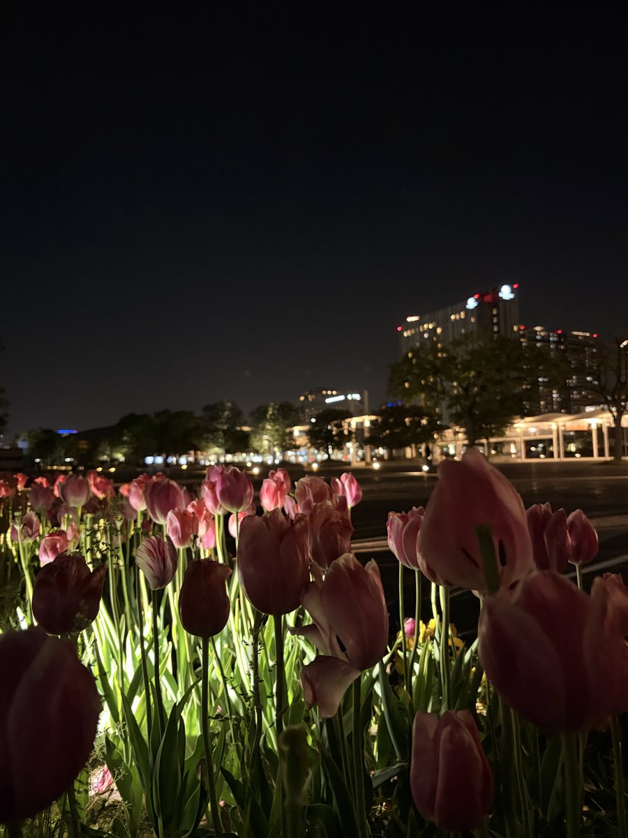 グラクション tweet media