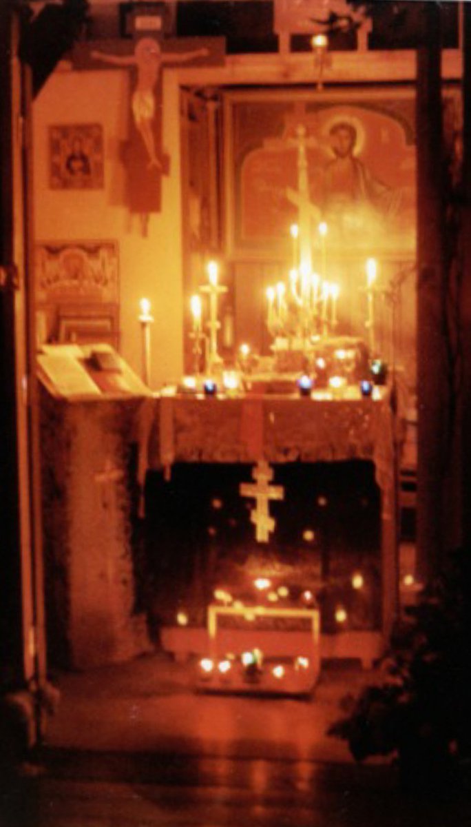 Siegfire tweet media