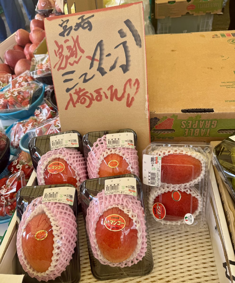 【ma様】専用・赤/青、各360g≪リクエスト特割特価≫ 母の日に届く 太陽のタマゴ 4L×2玉 化粧箱入｜宮崎マンゴーの最高峰