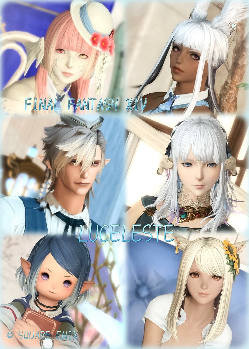 Kiri🪽 tweet media