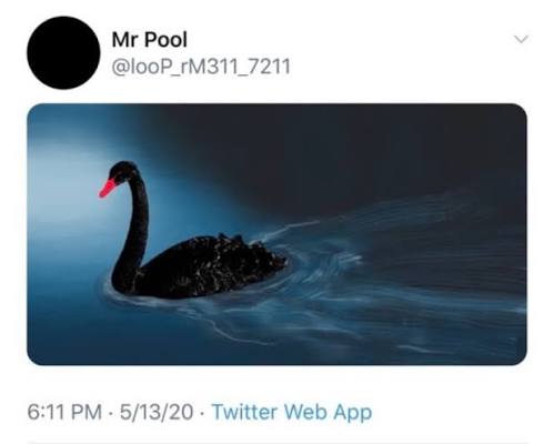 I See You tweet media