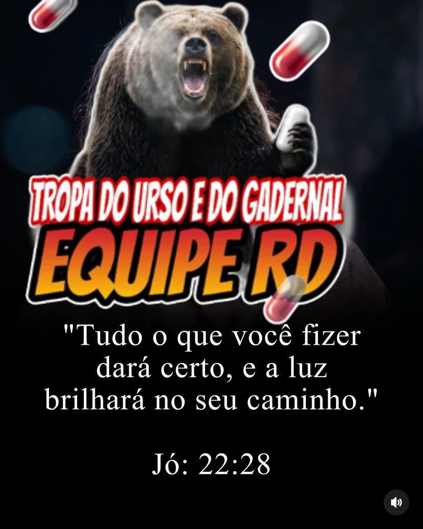 GBZIN EQP RD 🐻🚩 tweet media