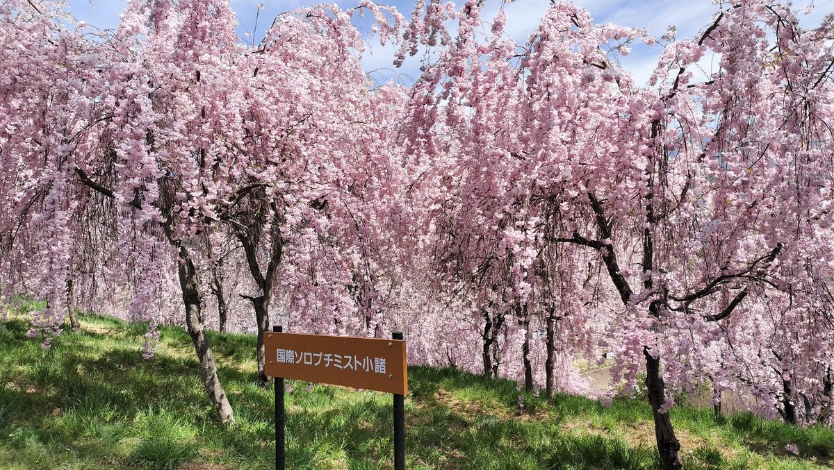 samaspeed tweet media