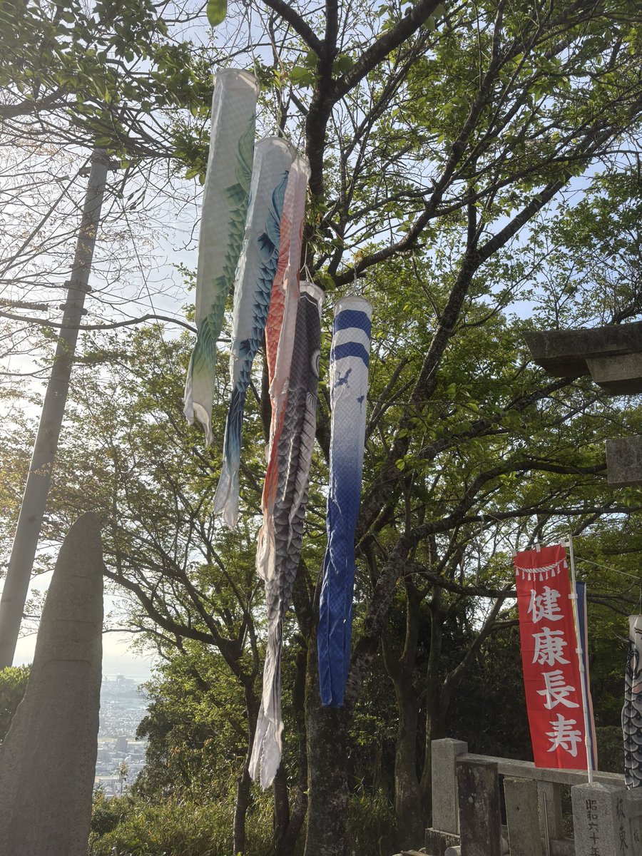 go2038's tweet photo. 今日のラン。

毎週日曜は行っています、恒例の眉山ラン⛰️🏃
桜も終わって新緑が美しくなってきたけど、同時に青虫毛虫🐛だらけ😂
でも気持ちよく走れた😆

4月に入って練習メニューの見直しをし、走行距離も増えているのに、体重も増えるのは、な〜ぜ何〜故？？ https://t.co/h4ushsqfpI