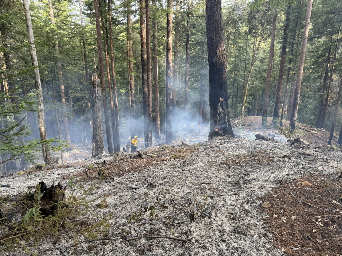 CAL FIRE CZU tweet media
