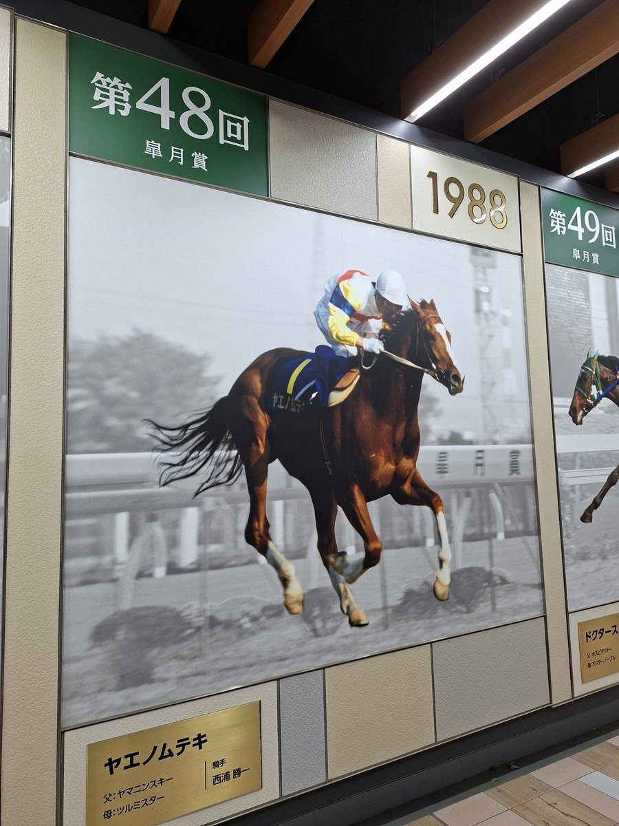 Mar / マロ 🌿🍫☕ tweet media