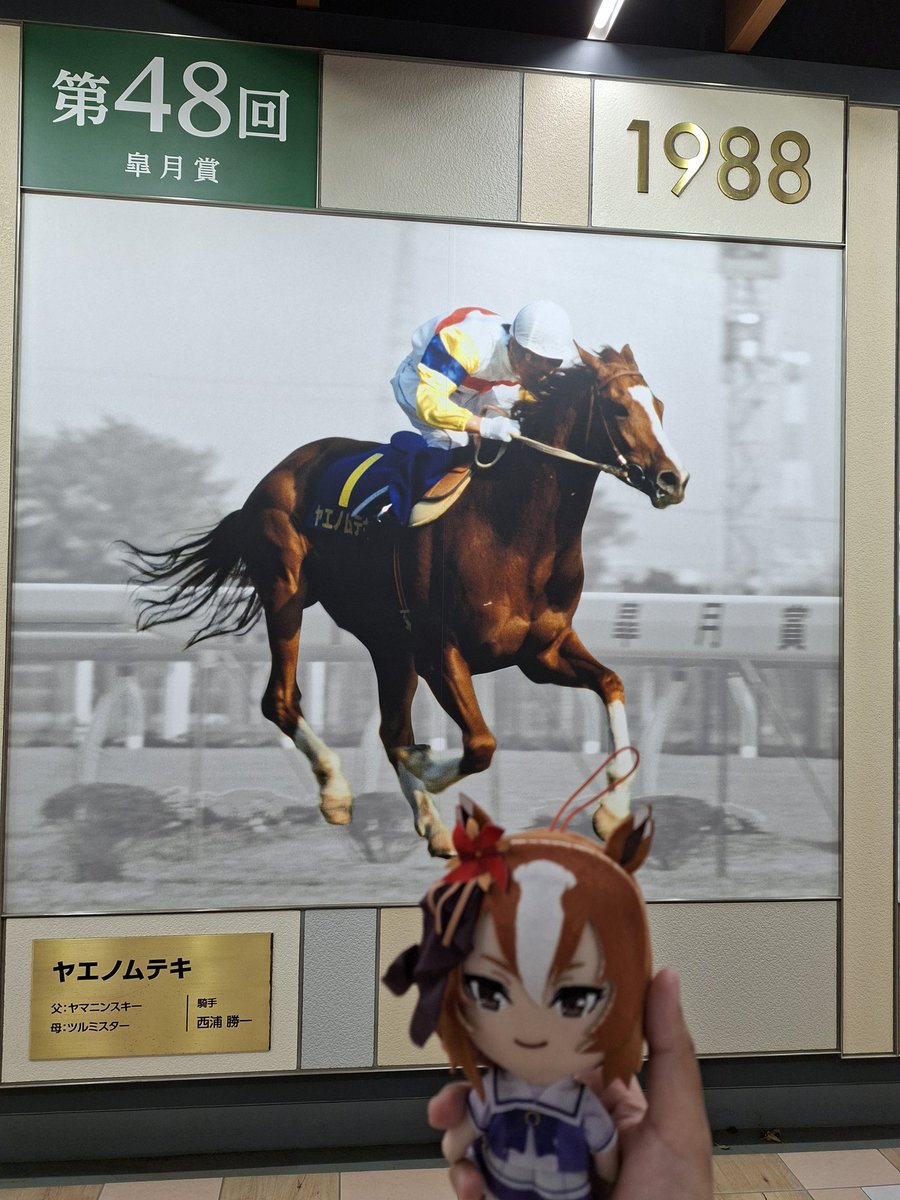 Mar / マロ 🌿🍫☕ tweet media