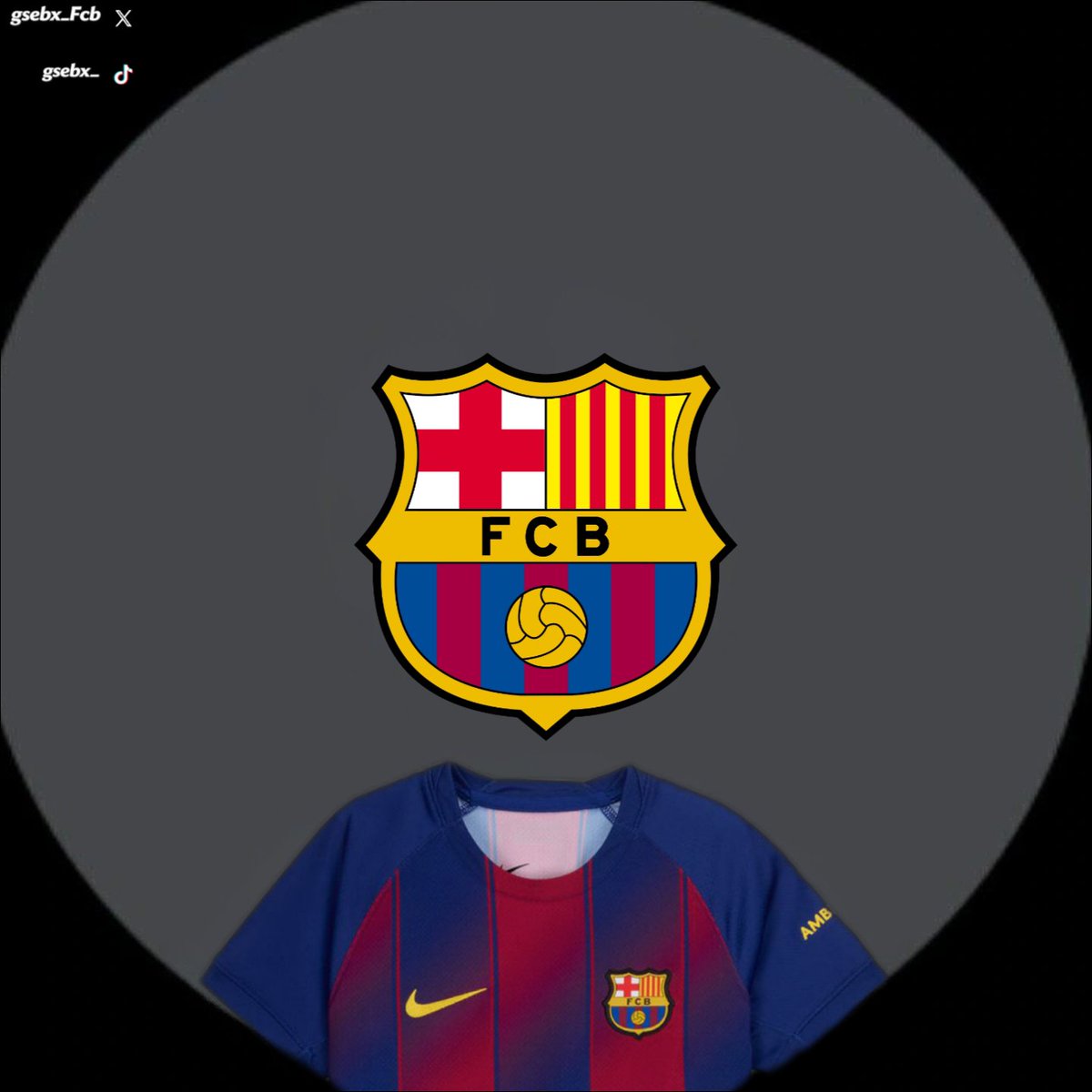 ranmaa11's tweet photo. Avatares del Fc Barcelona para fotos de perfil parte 4 https://t.co/ylTXsWICod