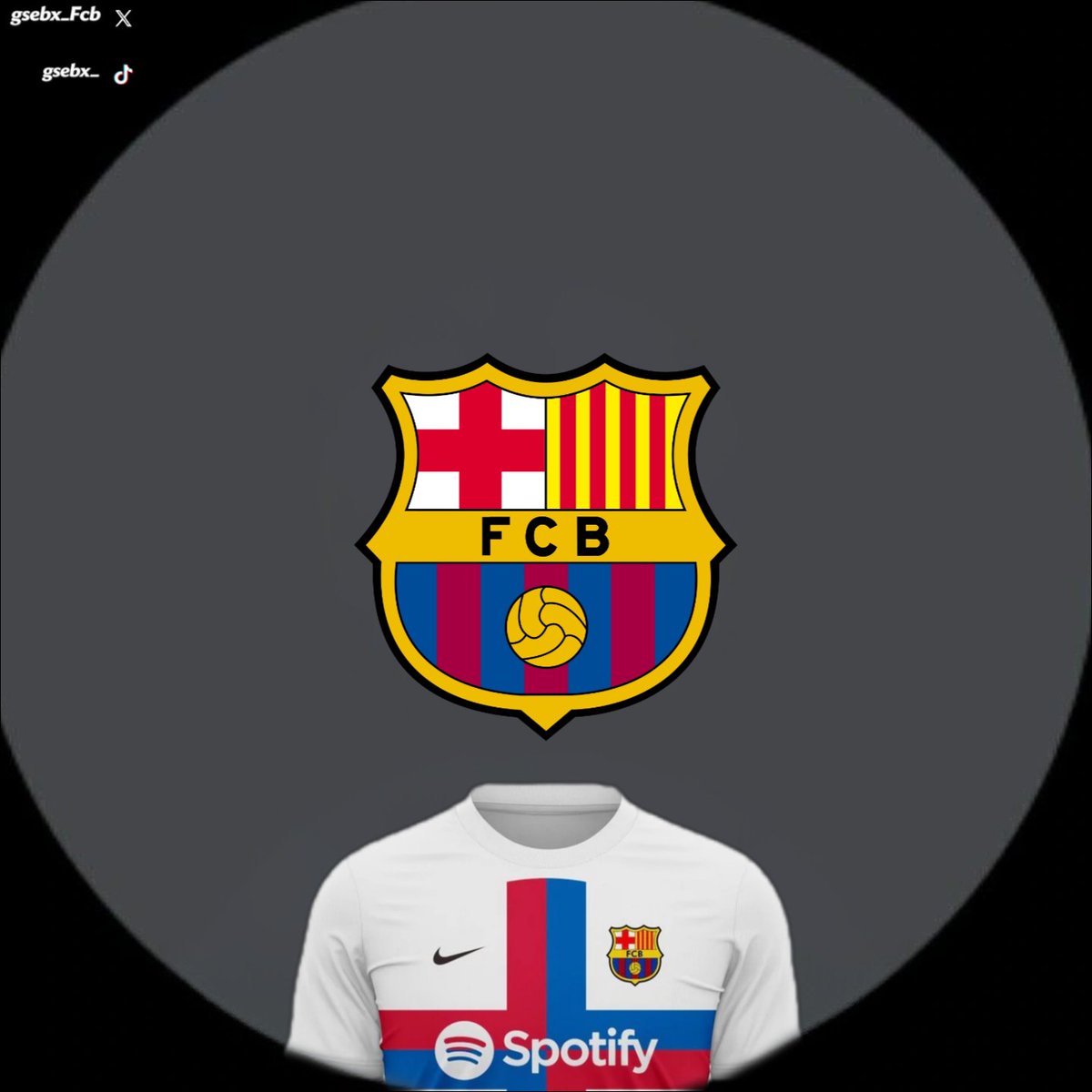 ranmaa11's tweet photo. Avatares del Fc Barcelona para fotos de perfil parte 4 https://t.co/ylTXsWICod