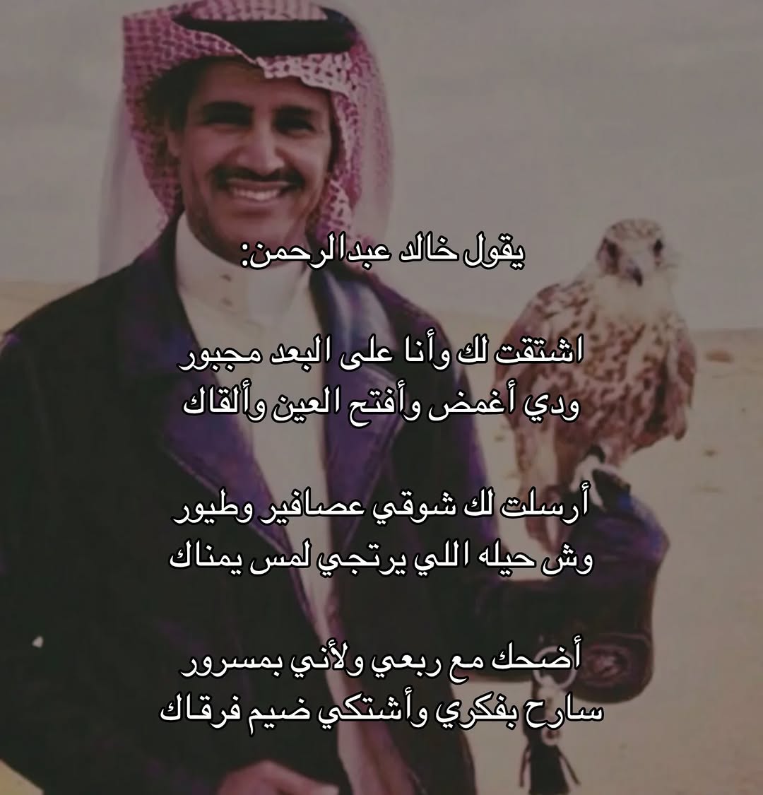 🌷 yara tweet media