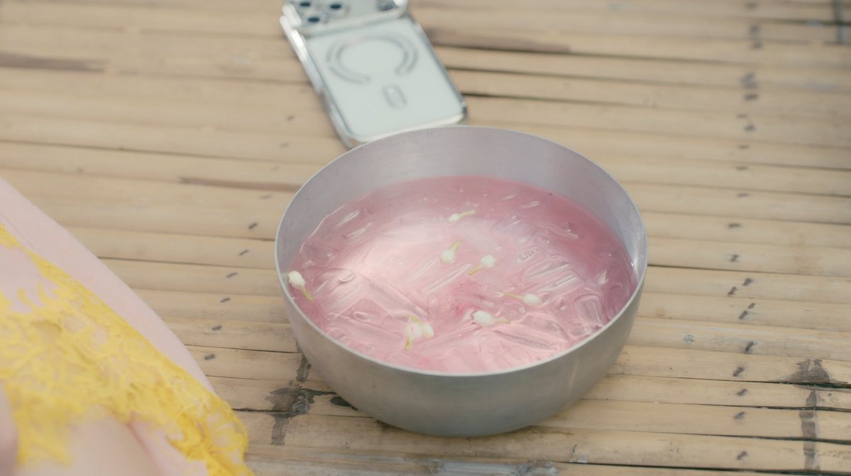 🍗WP 🐨🐰 tweet media