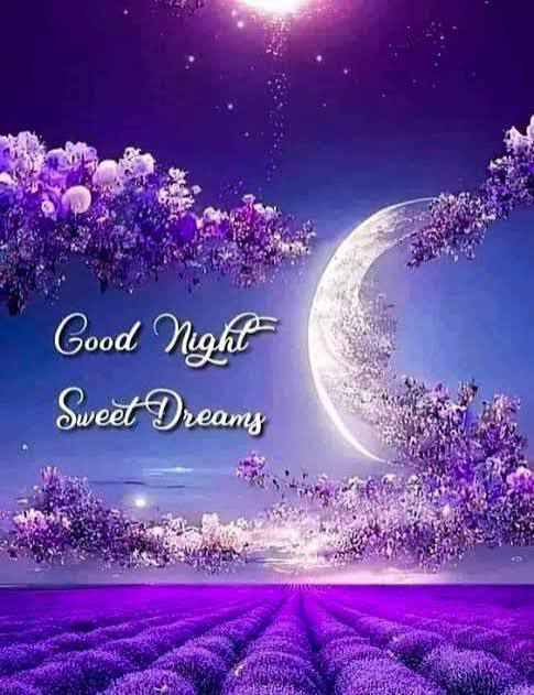 barbiesway's tweet image. 𝗚𝗼𝗼𝗱 𝗡𝗶𝗴𝗵𝘁🌛⭐️May you #sleep well, comforted in blessings through the night, wrapped in sweet #dreams, and awaken to a bright and hopeful tomorrow.
#GoodNightX 💤😴
