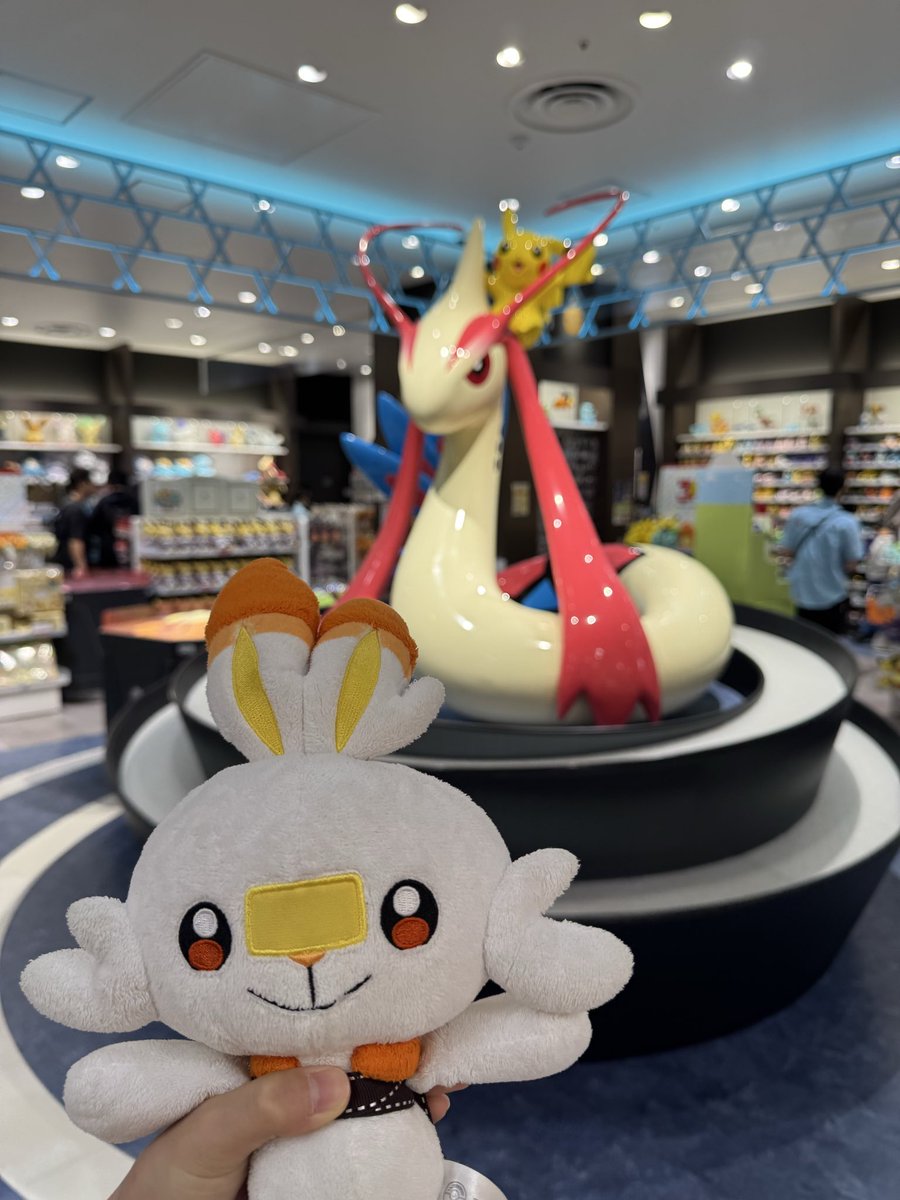 たいせい tweet media