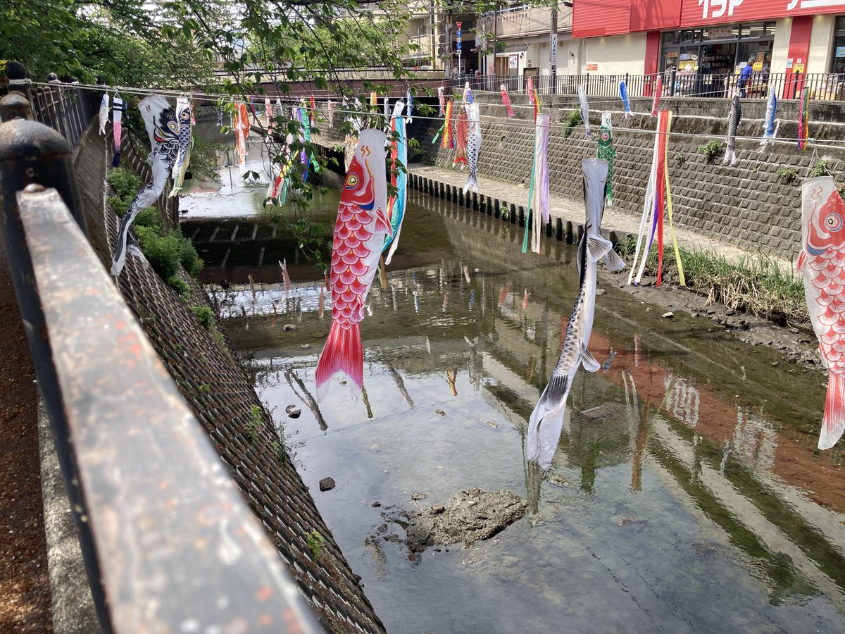 もうすぐ5月かより釣りしてーなの気持ちを強く思った弘明寺の鯉のぼり