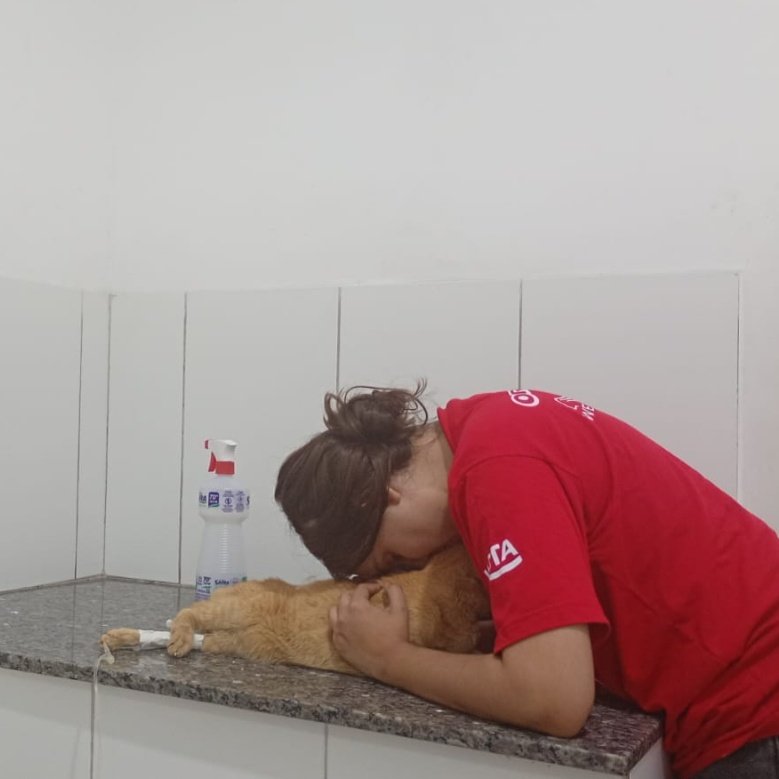 RT NO MEU FIXADO, me ajuda a salvar meu gatinho tweet media