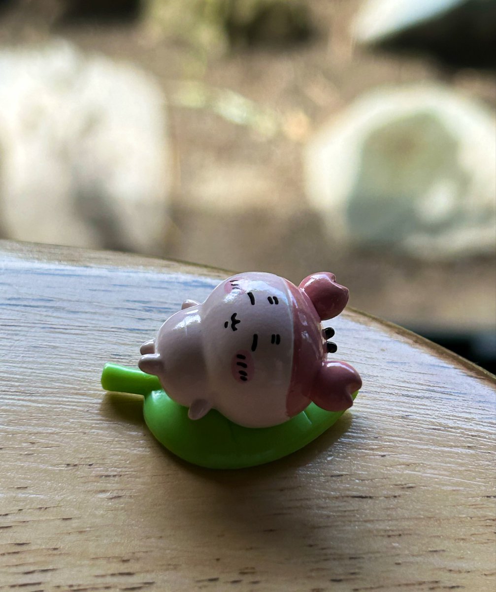 Ⓡ🤍ྀི tweet media