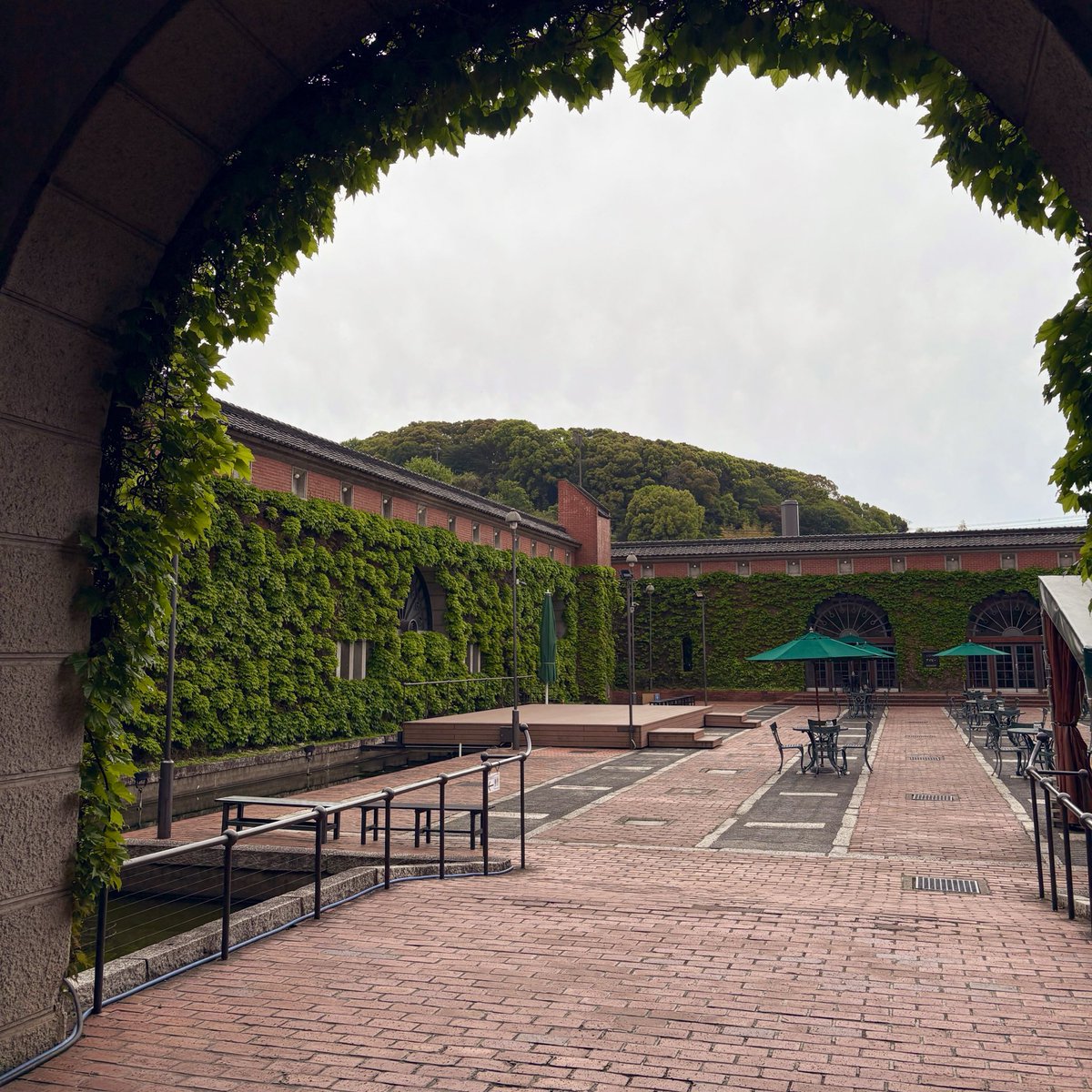 デデデリコ tweet media