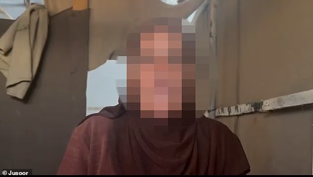 Visegrád 24 tweet media