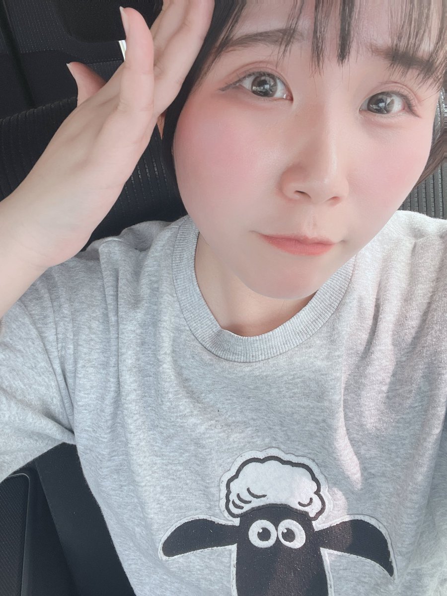 めぇ@実家和室界隈 tweet media