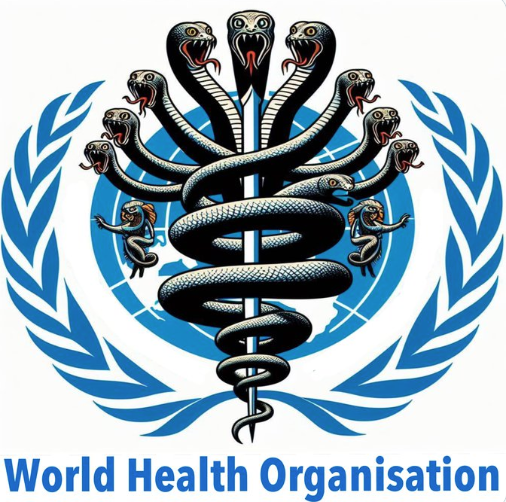 Malcolm Roberts 🇦🇺 tweet media