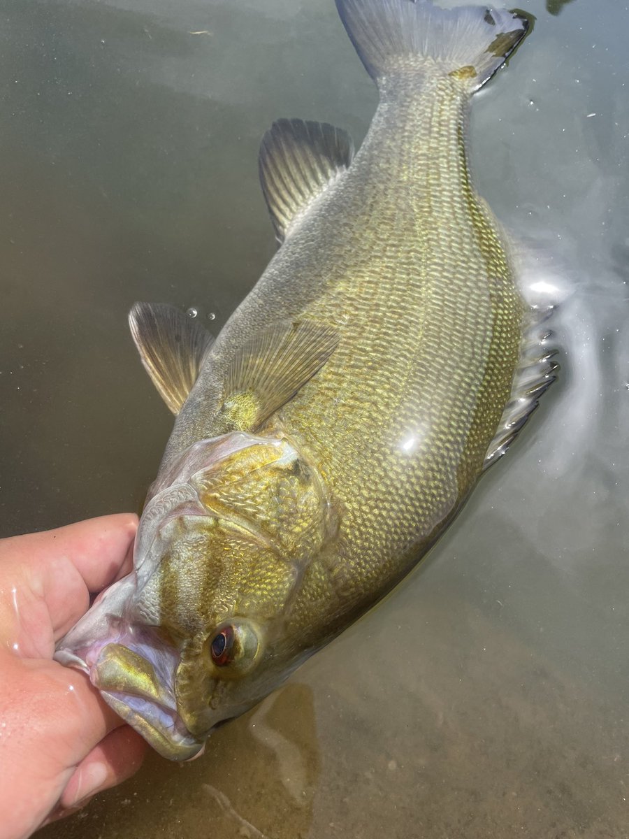 タカノリ tweet media